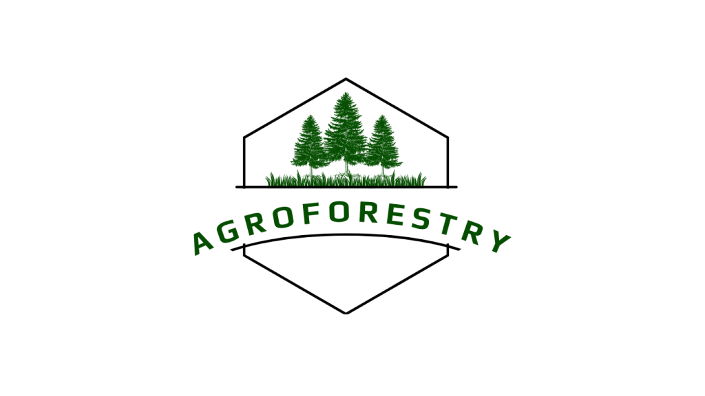 A picture with 3 trees and grass beneath and graphics of the word 'agroforestry' spread centre, centre in a semi-circle.