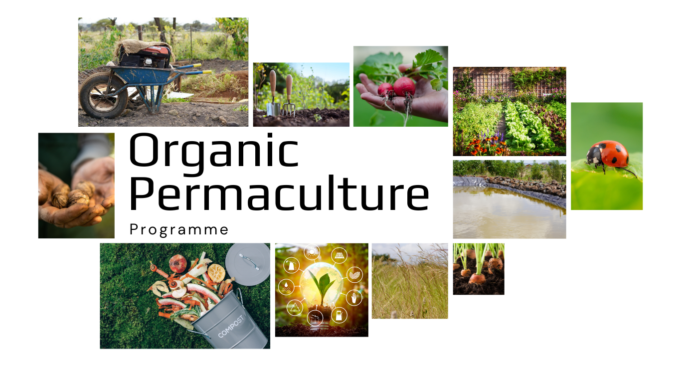 Photo collage showing the different organic permaculture principles. The same principles form the projects under organic permaculture programme at Ambokili Farm
