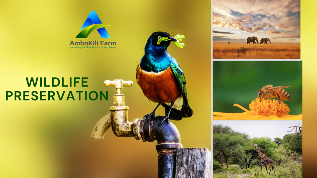 A photo collage of a Suber Sterling bird standing on a tap in Ambokili Farm, an elephant, a bee on a yellow flower, and a giraffe. It is a symbol of the wildlife preservation initiatives at Ambokili Farm.