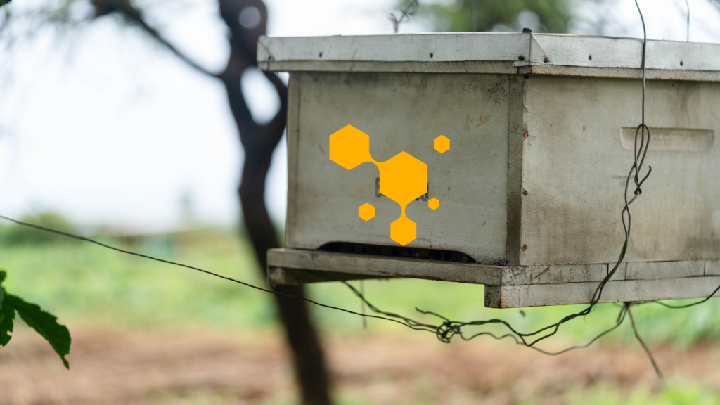 A photo of a beehive at Ambokili Farm- Housing one of the world's greatest pollinators- bees.