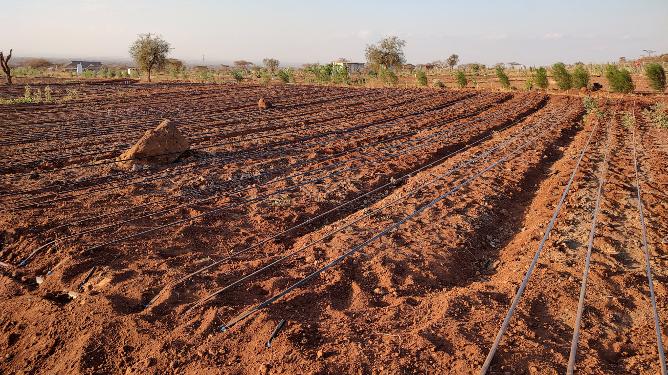 Bare land in Ambokili Farm, Kimana, Kajiado County, Kenya.