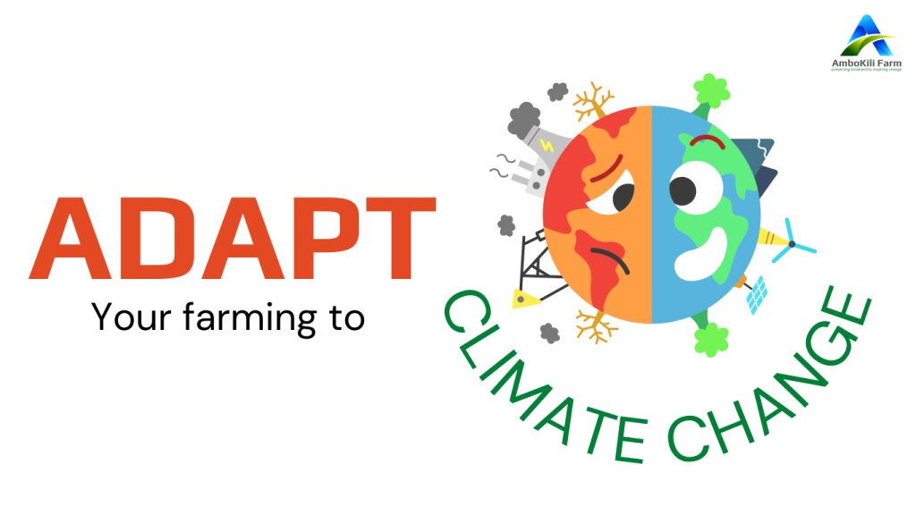 Graphic on climate resilient farming and the techniques of adapting to climate change in agriculture