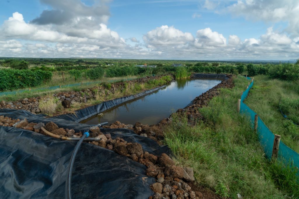 water reservoir