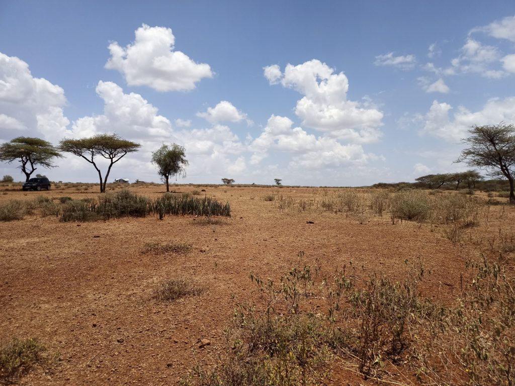 Barren land at Ambokili Farm