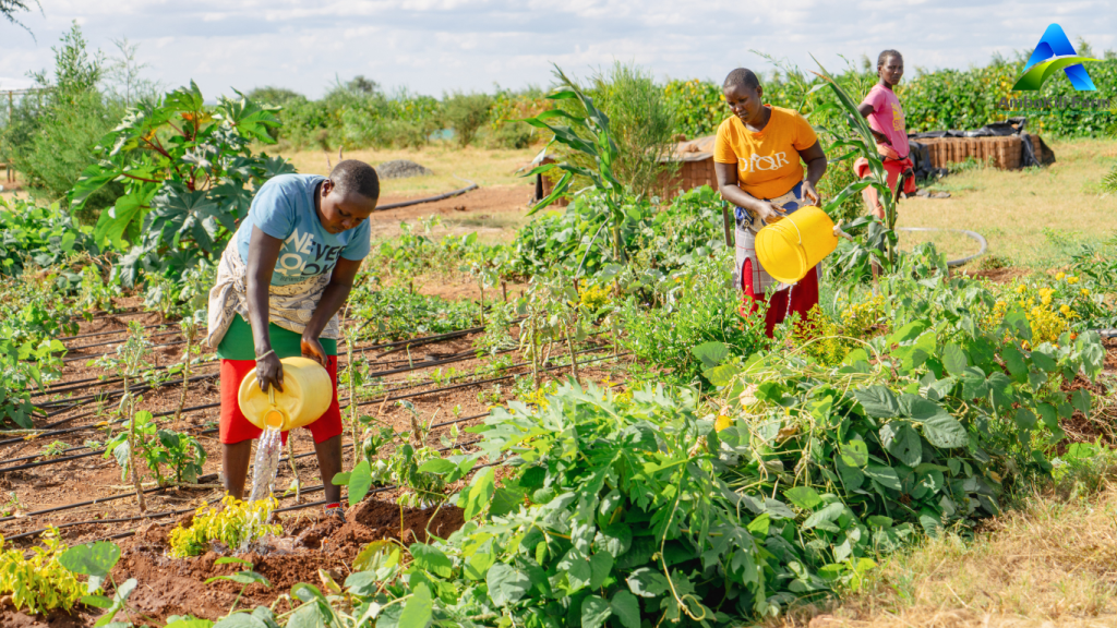 Women in agriculture at Ambokili Farm practicing farming