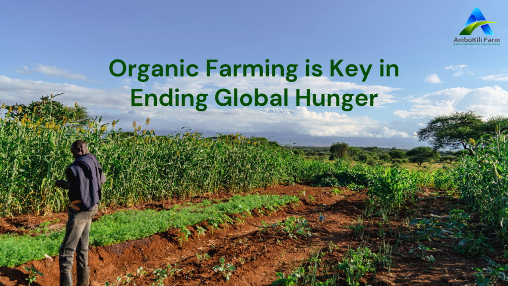 How Organic Farming is Key in Ending Hunger