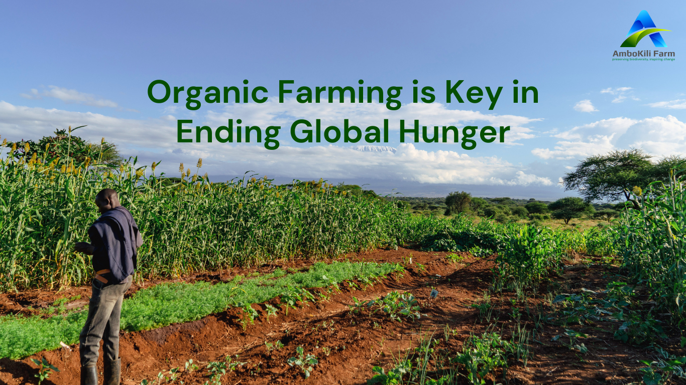 How Organic Farming is Key in Ending Hunger