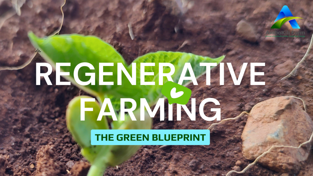 Regenerative farming